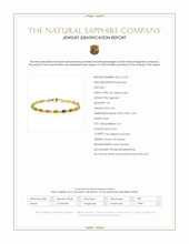 5.53&nbsp;Ct.Tw.Total Carat Weight Multi Color Sapphire and Natural Diamond Bezel Bracelet, 14K Yellow Gold Scan Report