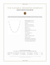 0.64 Ct. Natural Diamond and Blue Sapphire Tennis/Riviere Necklace, 14K White Gold Scan Report