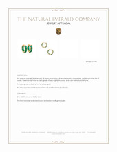 4.50 Ct.Tw.Total Carat Weight Emerald Bezel Earrings, 14K Yellow Gold Appraisal