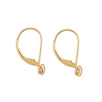 0.34&nbsp;Ct.Tw.Total Carat Weight Pink Sapphire Bezel Earrings, 14K Yellow Gold Image