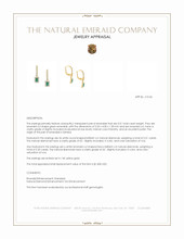 0.51 Ct.Tw.Total Carat Weight Emerald and Natural Diamond Halo Earrings, 14K Yellow Gold Appraisal