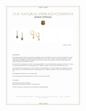 0.51 Ct.Tw.Total Carat Weight Emerald and Natural Diamond Halo Earrings, 14K Yellow Gold Appraisal
