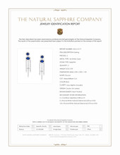 0.68 Ct.Tw.Total Carat Weight Blue Sapphire and Natural Diamond Pave Earrings, 14K White Gold Scan Report