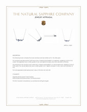 0.52 Ct. Blue Sapphire and Natural Diamond Accent Stones Necklace, 14K White Gold Appraisal
