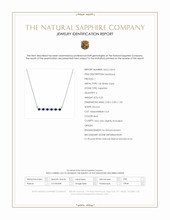0.25 Ct. Blue Sapphire and Natural Diamond Accent Stones Necklace, 14K White Gold Scan Report