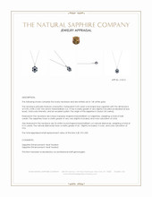 0.50 Ct. Blue Sapphire and Natural Diamond Pave Necklace, 14K White Gold Appraisal