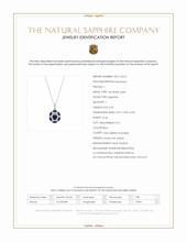 0.50 Ct. Blue Sapphire and Natural Diamond Pave Necklace, 14K White Gold Scan Report