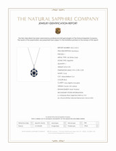 0.50 Ct. Blue Sapphire and Natural Diamond Pave Necklace, 14K White Gold Scan Report