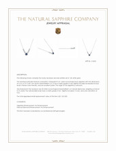 0.31 Ct. Blue Sapphire and Natural Diamond Pave Necklace, 14K White Gold Appraisal