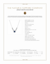 0.31 Ct. Blue Sapphire and Natural Diamond Pave Necklace, 14K White Gold Scan Report
