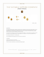 0.98 Ct.Tw.Total Carat Weight Yellow Sapphire and Natural Diamond Studs Earrings, 14K Yellow Gold Appraisal