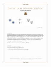 0.54&nbsp;Ct.Tw.Total Carat Weight Blue Sapphire and Natural Diamond Studs Earrings, 14K White Gold Appraisal