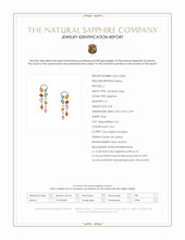 8.09 Ct.Tw.Total Carat Weight Multi Color Sapphire and Natural Diamond Pave Earrings, 14K White Gold Scan Report