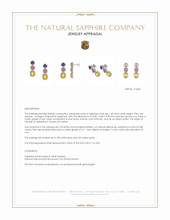 7.40&nbsp;Ct.Tw.Total Carat Weight Mixed Sapphire and Natural Diamond Studs Earrings, 18K White & Yellow Appraisal