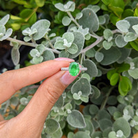 2.55 Ct. Tsavorite Garnet and Natural Diamond Pave Ring, 18K White Gold Life Style