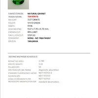 3.07 Ct. Tsavorite Garnet and Natural Diamond Pave Ring, Platinum 950 Scan Report