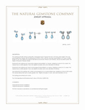 2.18 Ct.Tw.Total Carat Weight Blue Topaz and Natural Diamond Studs Earrings, Silver Appraisal