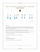 4.68&nbsp;Ct.Tw.Total Carat Weight Blue Topaz Studs Earrings, Silver Appraisal