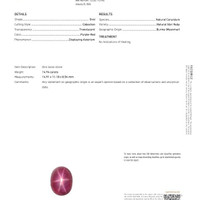14.94 Ct. Ruby and Natural Diamond Pave Ring, Platinum 950 Scan Report