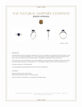 0.87 Ct. Blue Sapphire and Natural Diamond Pave Ring, 18K White Gold Appraisal