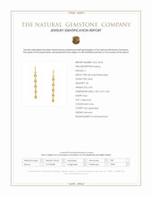 4.03 Ct.Tw.Total Carat Weight Multi Color Opal Drops Earrings, 22K Gold Plated Silver Scan Report