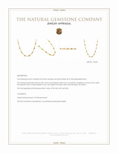 3.93 Ct.Tw.Total Carat Weight Ruby, Citrine, Garnet, Peridot, Lapis, Amethyst, Carnelian, Agate and Moonstone Multi Stone Necklace, 22K Gold Plated Silver Appraisal