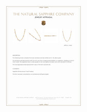 18.49 Ct. Multi Color Sapphire Bezel Necklace, 14K Yellow Gold Appraisal
