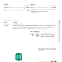7.02 Ct. Emerald and Natural Diamond Three Stone Ring, Platinum 950 Scan Report