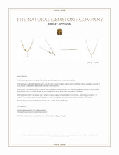 2.22 Ct. Multi Color Opal and Yellow Citrine Bezel Necklace, Silver Appraisal