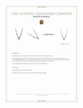13.91 Ct.Tw.Total Carat Weight Onyx Bezel Necklace, Silver Appraisal
