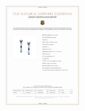 0.21 Ct.Tw.Total Carat Weight Blue Sapphire and Natural Diamond Pave Earrings, 14K White Gold Scan Report