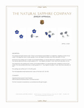 0.66 Ct.Tw.Total Carat Weight Blue Sapphire and Natural Diamond Studs Earrings, 14K White Gold Appraisal