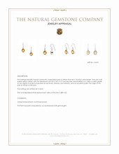 4.18&nbsp;Ct.Tw.Total Carat Weight Yellow Citrine Bezel Earrings, Silver Appraisal
