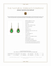 8.41 Ct.Tw.Total Carat Weight Emerald and Natural Diamond Pave Earrings, 14K White & Yellow Scan Report