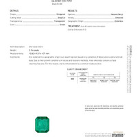 3.74 Ct. Emerald and Natural Diamond Pave Ring, Platinum 950 Scan Report