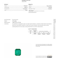 3.74 Ct. Emerald and Natural Diamond Pave Ring, Platinum 950 Pdf