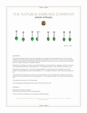 12.96&nbsp;Ct.Tw.Total Carat Weight Emerald and Natural Diamond Studs Earrings, 18K White Gold Appraisal