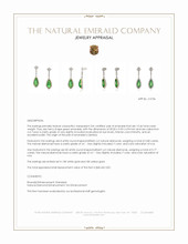 15.46 Ct.Tw.Total Carat Weight Emerald and Natural Diamond Studs Earrings, 18K White & Yellow Appraisal