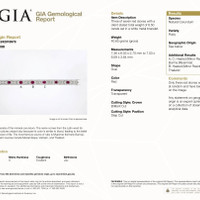 8.50&nbsp;Ct.Tw.Total Carat Weight Ruby and Natural Diamond Pave Bracelet, Platinum 900 Scan Report