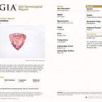 0.87&nbsp;Ct.Tw.Total Carat Weight Padparadscha Sapphire and Natural Diamond Pave Pendant, Platinum 900 Scan Report