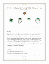 3.14 Ct. Emerald and Natural Diamond Halo Ring, Platinum & 18K Yellow Appraisal