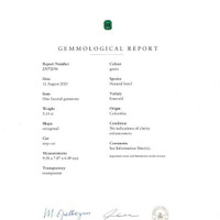 3.14 Ct. Emerald and Natural Diamond Halo Ring, Platinum & 18K Yellow Scan Report