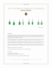 18.87 Ct.Tw.Total Carat Weight Emerald and Natural Diamond Pave Earrings, 18K White Gold Appraisal
