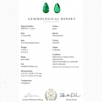 18.87 Ct.Tw.Total Carat Weight Emerald and Natural Diamond Pave Earrings, 18K White Gold Pdf