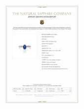 1.36 Ct. Blue Sapphire and Natural Diamond Pave Ring, 14K White Gold Scan Report
