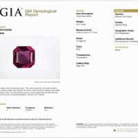 0.57 Ct. Ruby and Natural Diamond Halo Ring, 14K White & Yellow Scan Report