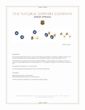 1.24 Ct.Tw.Total Carat Weight Blue Sapphire and Natural Diamond Studs Earrings, 14K Yellow Gold Appraisal