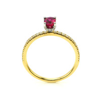 0.53 Ct. Ruby and Natural Diamond Pave Ring, 14K Yellow & White Image