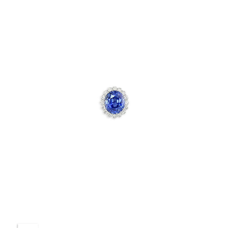Jewelry image on model