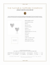 0.04 Ct.Tw.Total Carat Weight Pink Sapphire Studs Earrings, Silver Scan Report